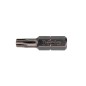 Бита Torx TR 15x25 серия Industrial, 10 шт