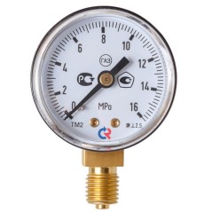 ТМ-210Р.00(0-2,5МРа)M12x1,5.2,5. О2